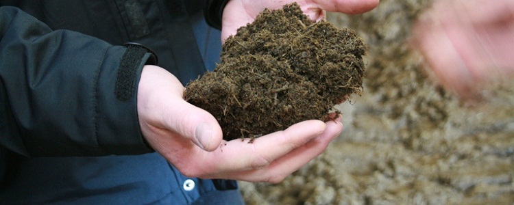 Livestock manure separation is a processing technology that becomes more and more common in the EU.