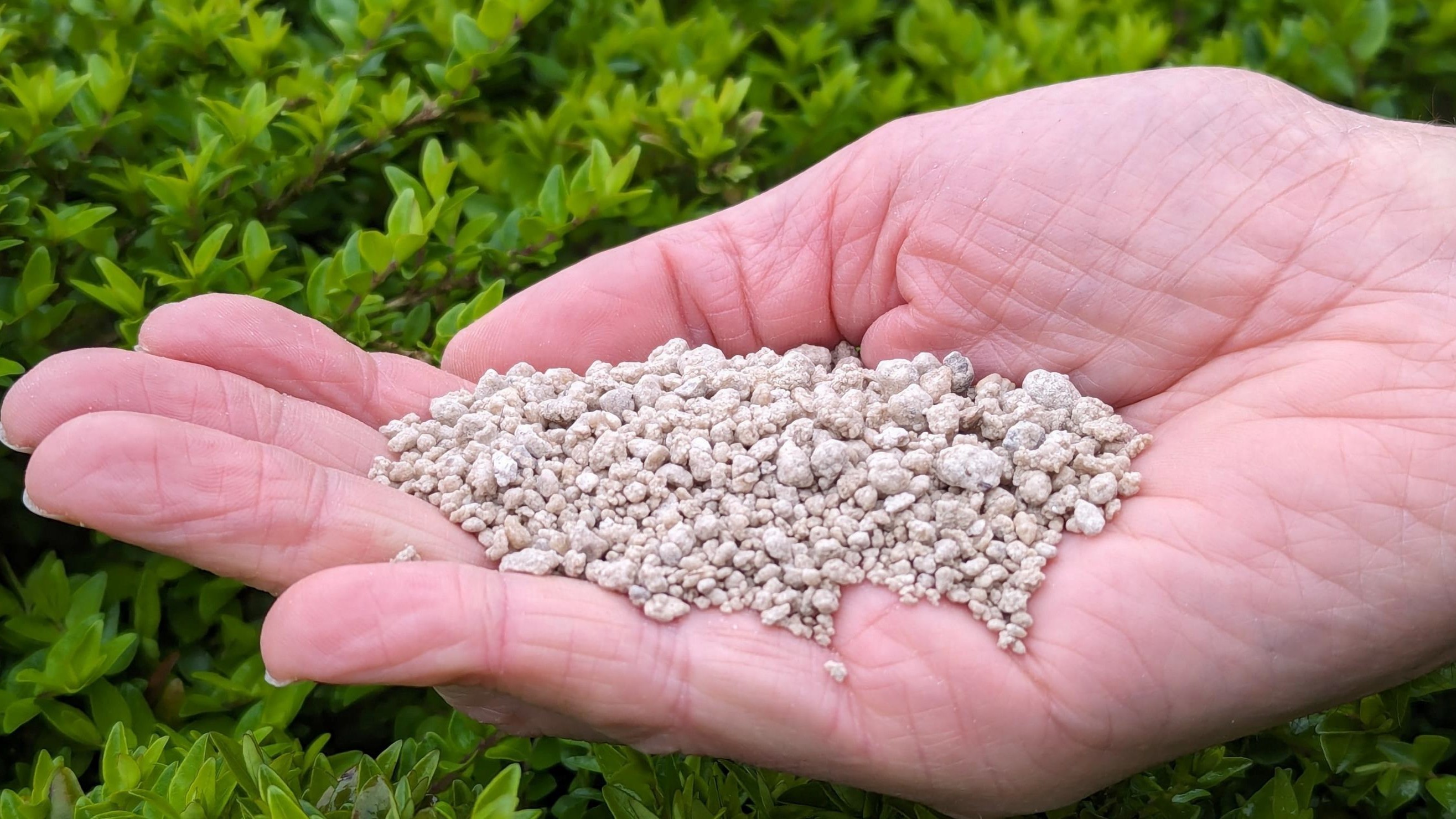 Struvite-based fertiliser granulate is made from activated wastewater sludge (Photo provided by Soepenberg).